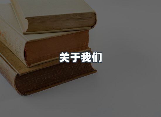 专业团队